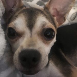 Meet your Posher, Alexis